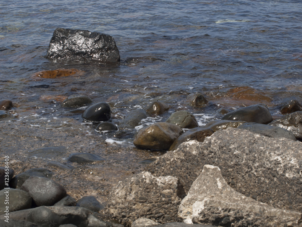 Obraz premium Piedras vivas de mar.