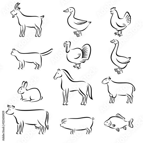 Farm animals set. Vector