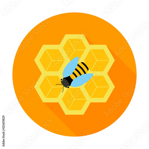 Honeycomb with bee circle icon