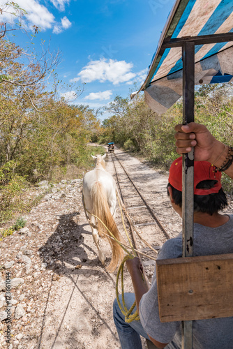 riding on horse drawn carts on maya trail to cenotes near Cuzama, mexico photo