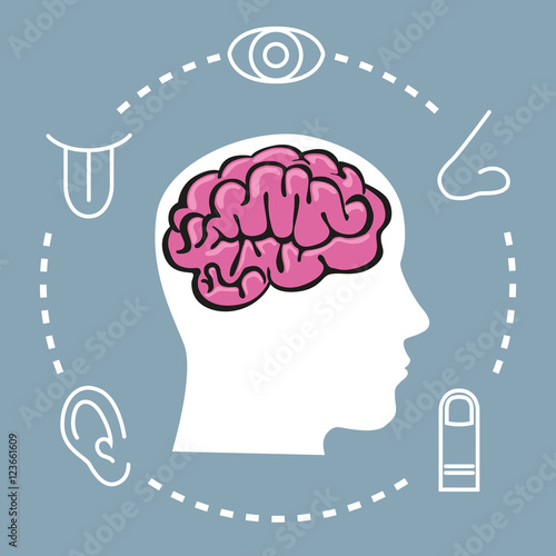 5 sens - Cerveau - symbole