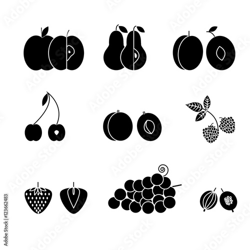 Fruit icons, thin line style, flat design