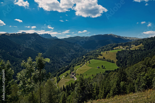 Blick von der Winkelmoosalm