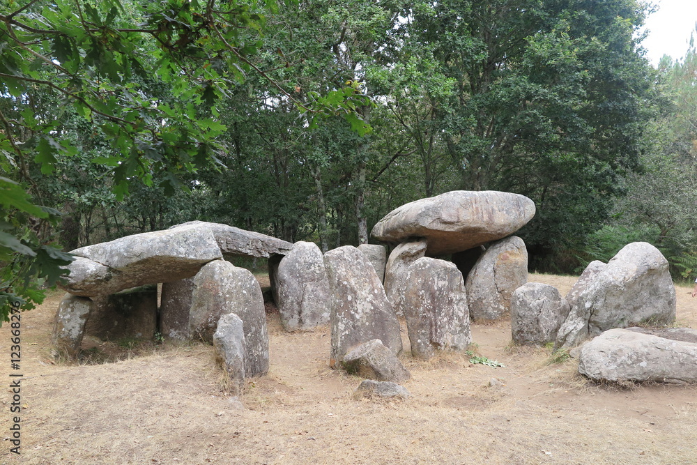 Carnac - Dolmen von Kermario Carnac - Dolmen von Kermario