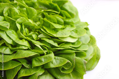 Green lettuce on a white background, selective focus.