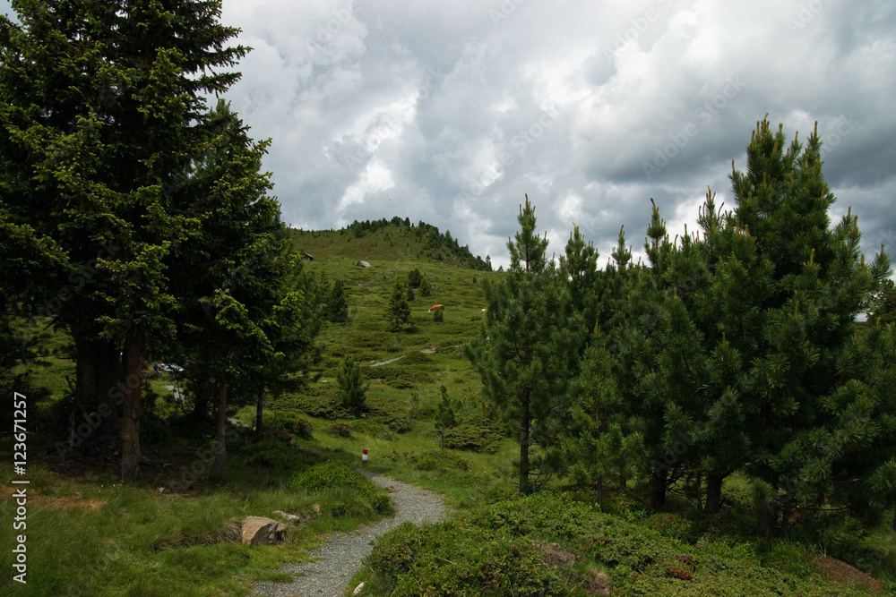 Landschaft an der Nockalmstrasse, Kärnten, Österreich Landschaft an der Nockalmstrasse, Kärnten, Österreich