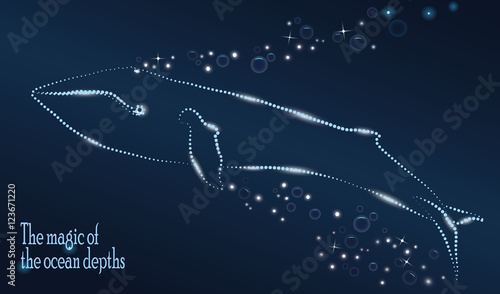 Whale on night deep blue background. Bubbles and glowing lines. Vector