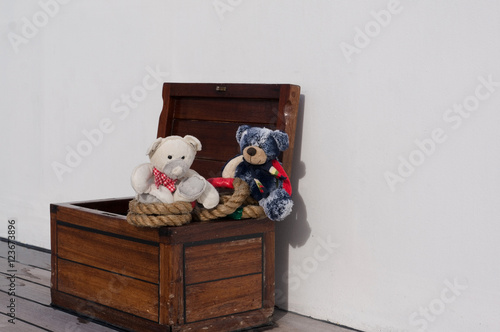 Teddies auf Kreuzfahrt