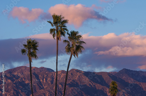 Palm trees against the San Gabriel Mountains under pink evening clouds in Pasadena., California, United States.