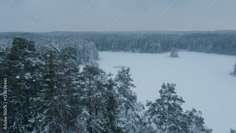 Aerial Shot of Frozen Lake Surrounded by Large Pine Forest Covered with Snow at Winter. Aerial Shot of Frozen Lake Surrounded by Large Pine Forest Covered with Snow at Winter.