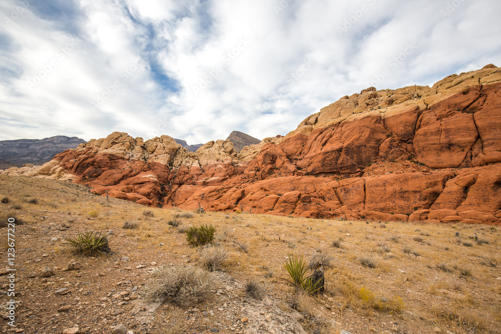 Red Rock Canyon in Nevada, USA. Red Rock Canyon in Nevada, USA.