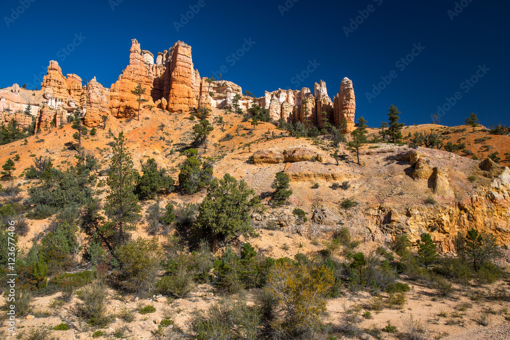 Fototapeta premium Bryce Canyon in Utah, USA.