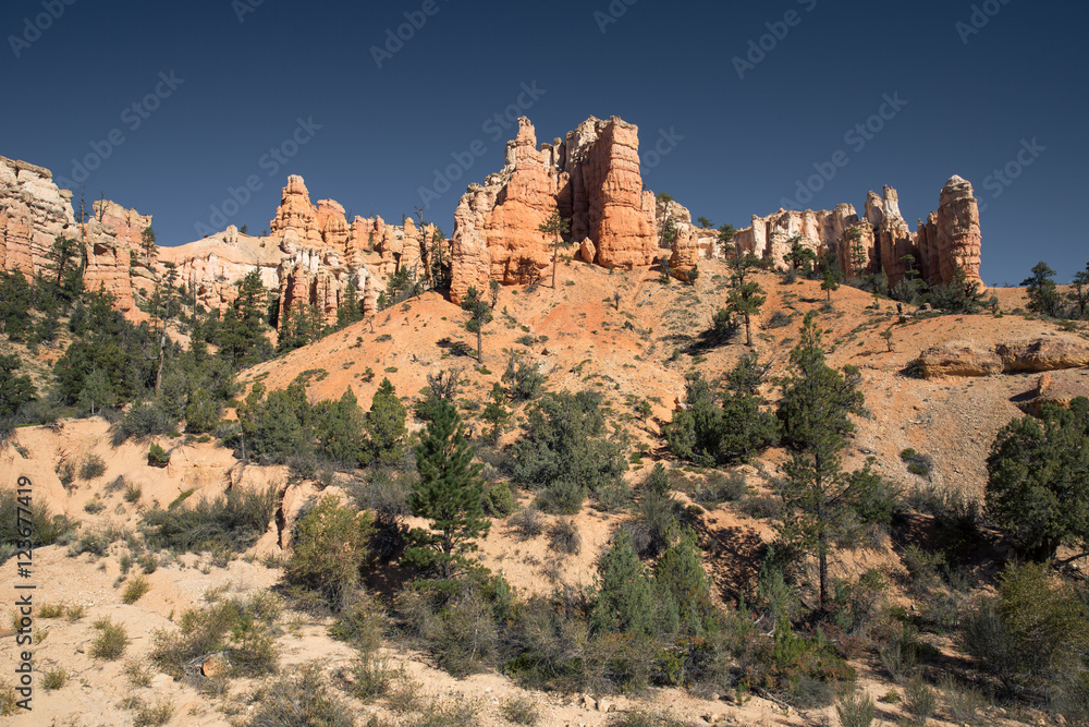Fototapeta premium Bryce Canyon in Utah, USA.