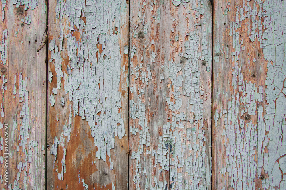 old painted wall of wooden planks old painted wall of wooden planks