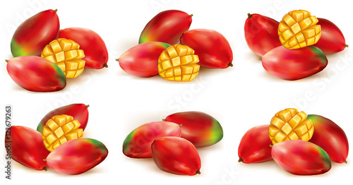 Fototapeta Naklejka Na Ścianę i Meble -  Set of mango illustration