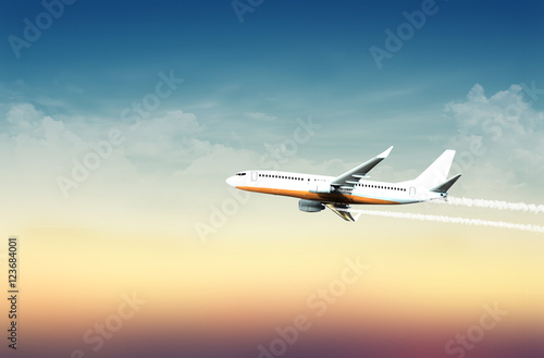 Airplane in the sky at mild sunset (with overlay) - 3d illustration