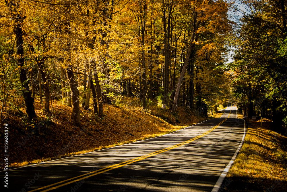 Obraz premium Fall in Rock City 2