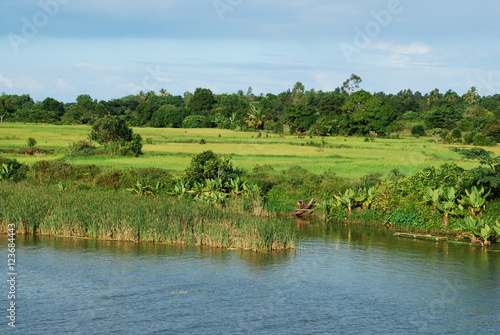 Rive de fleuve tropical photo