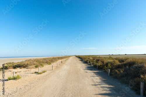 Dirt road in arid lagoon landscape of Camarque, France