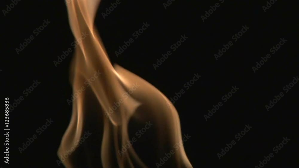 Isolated fire flame burning on black background, close up. Isolated fire flame burning on black background, close up.
