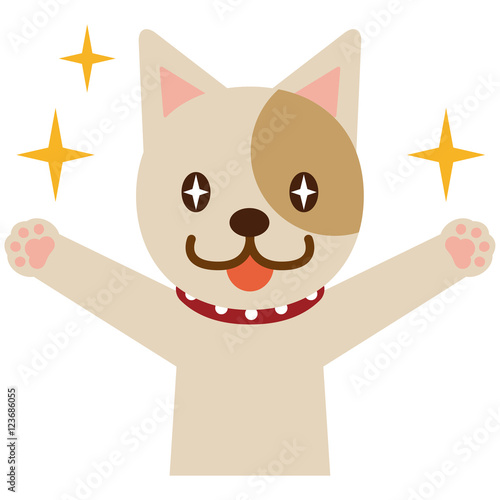 目を輝かせて喜ぶ犬