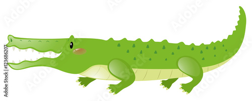Crocodile with happy face