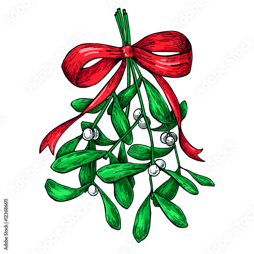 Mistletoe with red bow. Christmas decor plant. Hand drawn vector