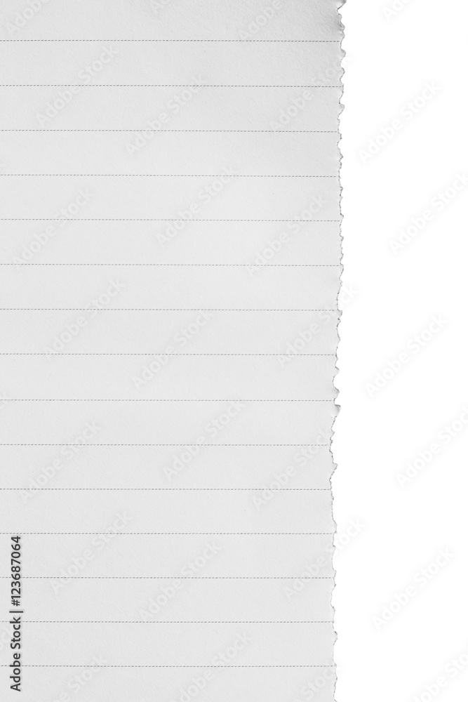 Obraz premium Ripped paper, space for copy