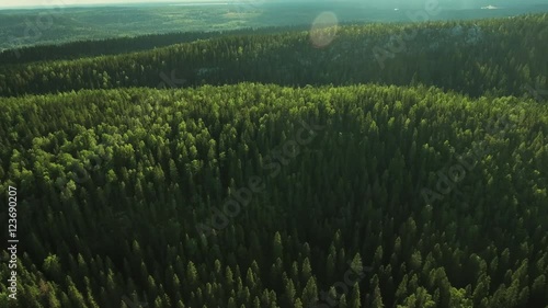 Aerial Shot of Mountains on the coast Covered with Pine Forest