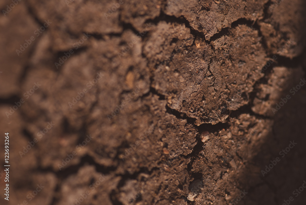 Crack soil on dry season, Global warming effect. Closeup macro artistic blurred background Crack soil on dry season, Global warming effect. Closeup macro artistic blurred background