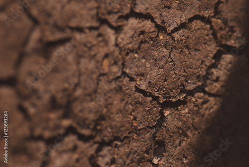Crack soil on dry season, Global warming effect. Closeup macro artistic blurred background