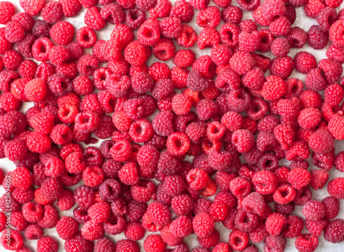 Red raspberries as a background 