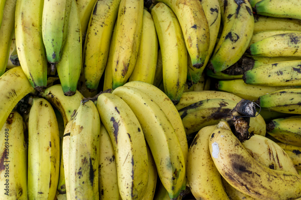 organic banana from farmer house