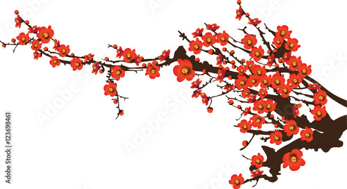 Red spring flowers sunshine blooming on tree vector illustration