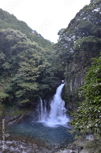 伊豆 河津七滝のひとつ 大滝