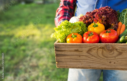 farmer holding box with fresh organic vegetables