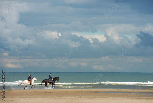 galop sur la plage hors saison photo