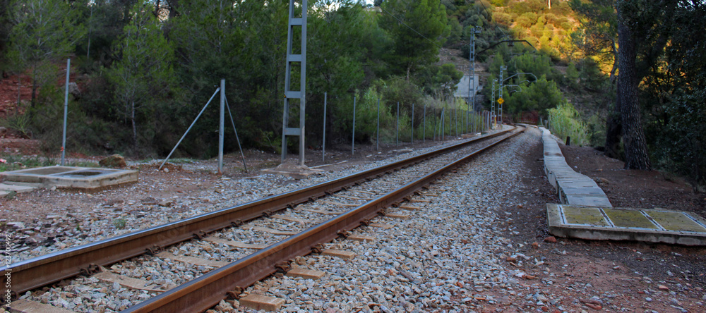 Fototapeta premium Vias de tren de cercanías