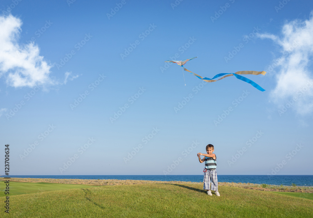 Little boy on summer vacation having fun and happy time flying k Little boy on summer vacation having fun and happy time flying k