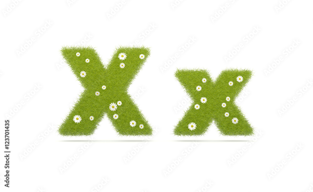 Natural green grass with camolines font. Letters X x Natural green grass with camolines font. Letters X x