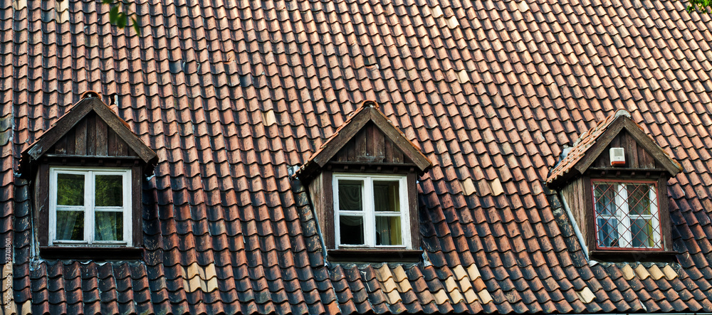 Obraz premium old roof with attic windows