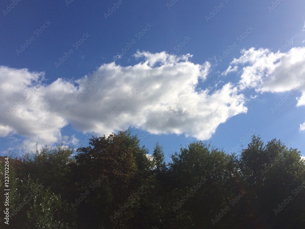 Wolken am blauen Himmel über Bäumen