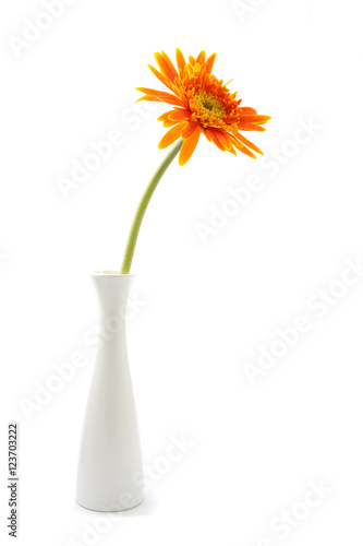 single gerbera flower yellow on vase isolated