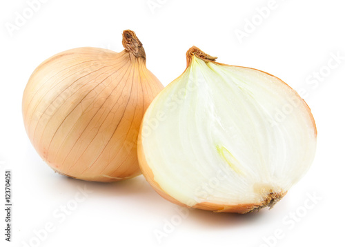 fresh bulbs of onion isolated