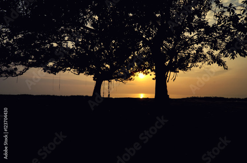 close up silhouette tree image. yellow background during sunrise sunset.