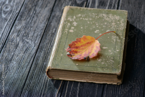 Book on the table and autumn leaf