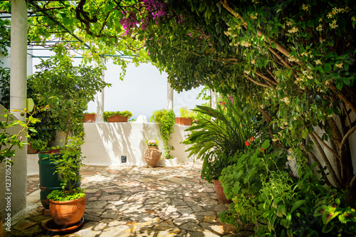 terrace with full of plants and on greek island Corfu, Greece