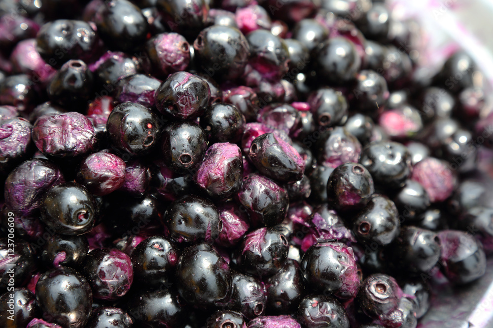 Jamun Fruits Jamun Fruits