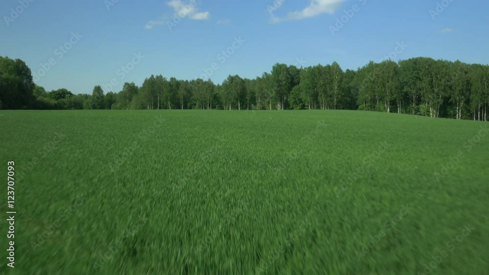 Aerial Shot over Impressive Large Grass Fields in Bright Sunny Day. Aerial Shot over Impressive Large Grass Fields in Bright Sunny Day.
