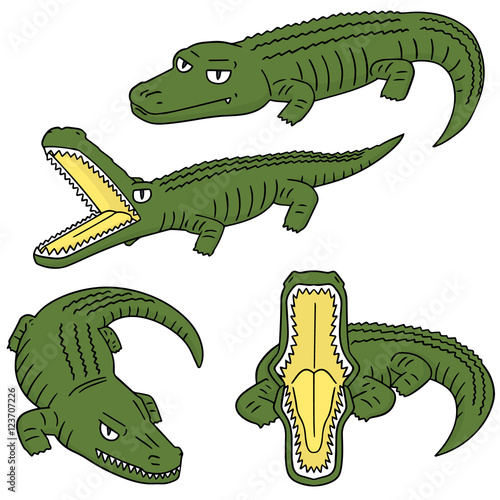 vector set of crocodile